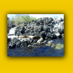 Galapagos_063_von_125.jpg