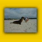 Galapagos_082_von_125.jpg
