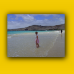 Galapagos_110_von_125.jpg
