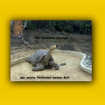 Galapagos_117_von_125.jpg