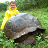Galapagos Inseln 2008