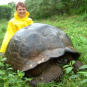 Galapagos Inseln 2008